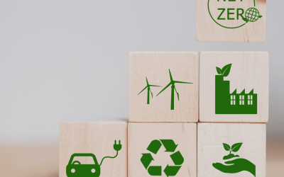 Comment créer un site internet éco-responsable ? Les bases