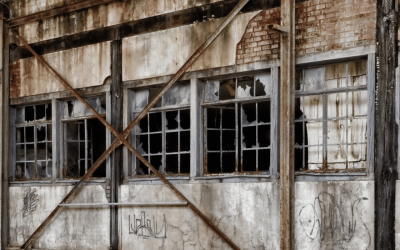 Faire vivre son site après sa création : les 5 actions à mettre en place chaque mois