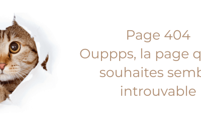 La page 404