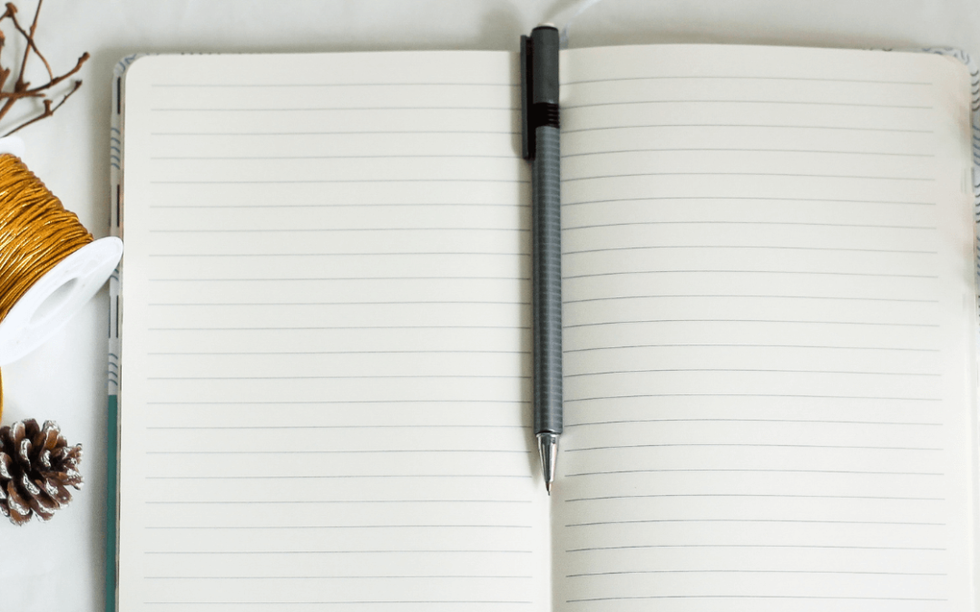 plugins indispensable rédactrice web