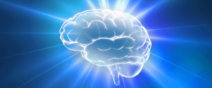 Comment éviter le plagiat et protéger ton contenu