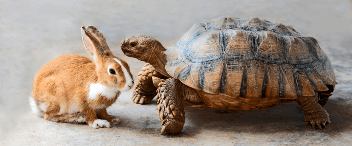 Pourquoi personne ne reste sur ton site ?